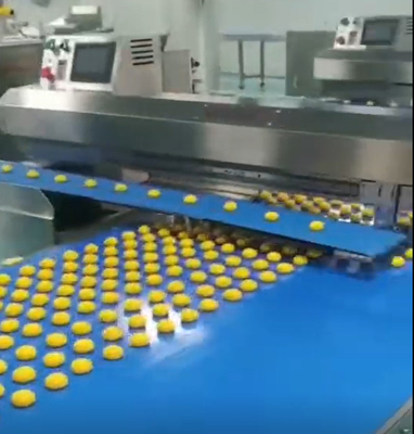 304 Stainless Steel Industrial Full Set Egg Yolk Pie Making Machine With Oven