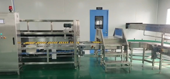 304 Stainless Steel Industrial Full Set Egg Yolk Pie Making Machine With Oven