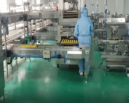 304 Stainless Steel Industrial Full Set Egg Yolk Pie Making Machine With Oven