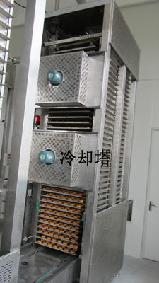 220V 500KG/H Mooncake Automatic Cake Production Line
